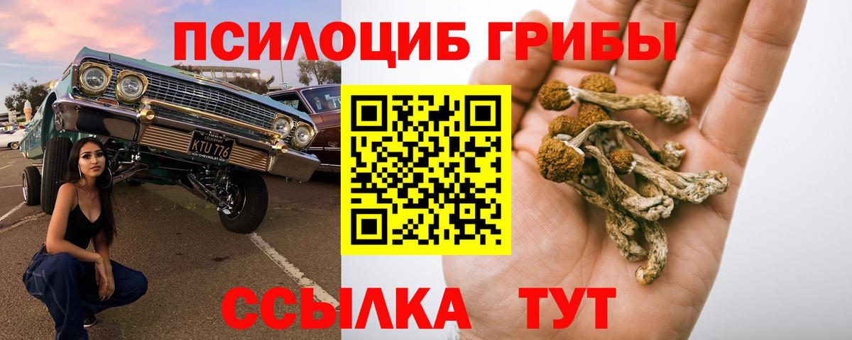 Галлюциногенные грибы GOLDEN TEACHER  Псилоцибиновые грибы прущие грибы  Пушкино  Вход с VPN 